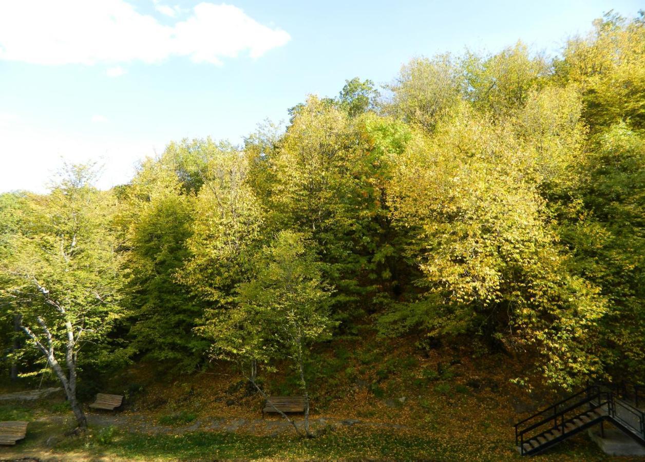 Tsaghkahovit Hotel Tsaghkadzor Esterno foto