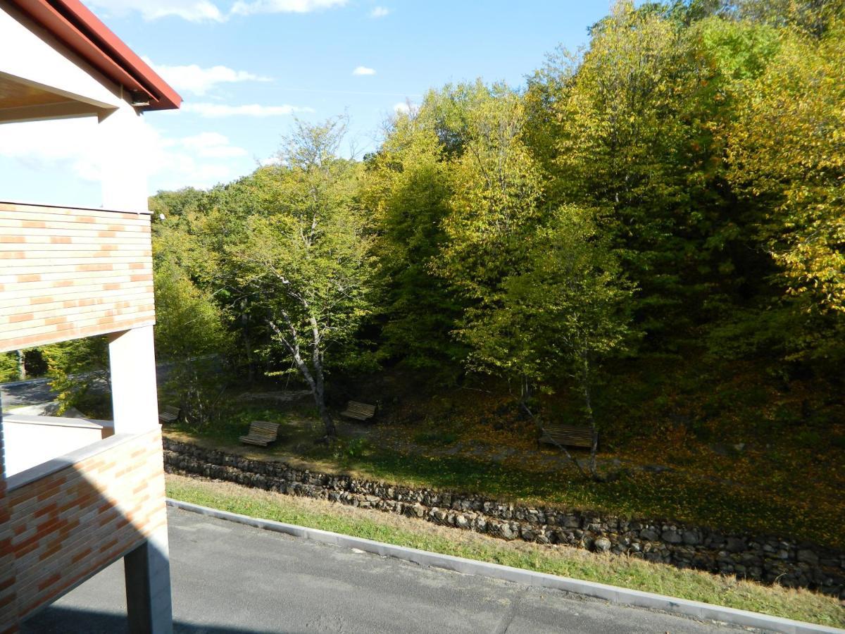 Tsaghkahovit Hotel Tsaghkadzor Esterno foto